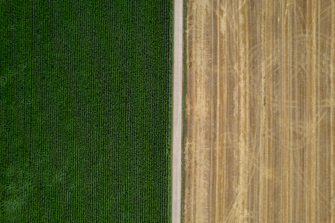 Sustainable Practices in Food Production: Embracing Farm Fresh Ideals