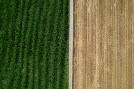 Sustainable Practices in Food Production: Embracing Farm Fresh Ideals