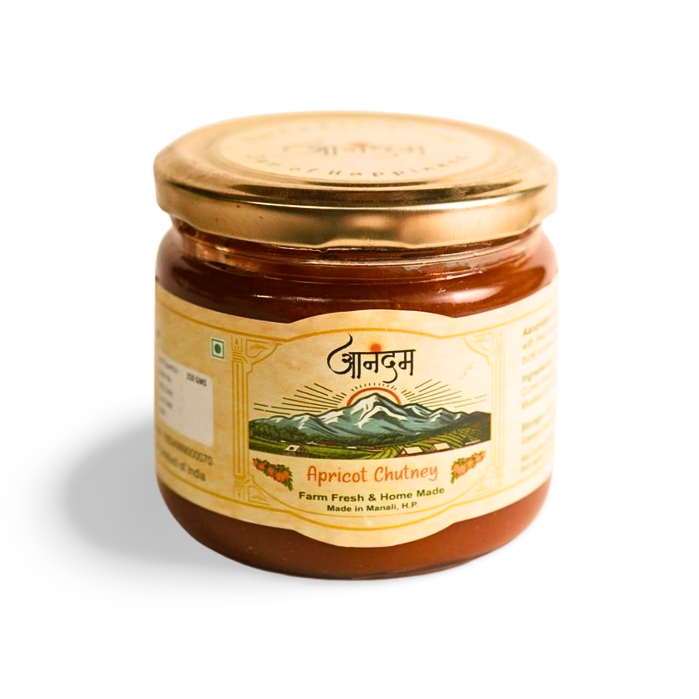 Aanandam Apricot Chutney